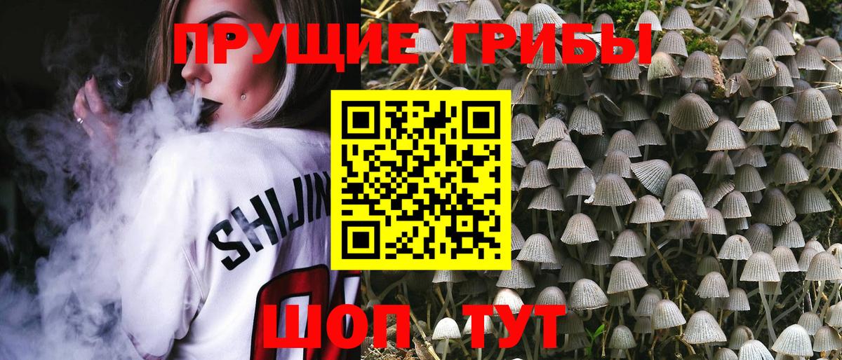 Псилоцибиновые грибы Magic Shrooms  Вход с VPN  Новошахтинск 